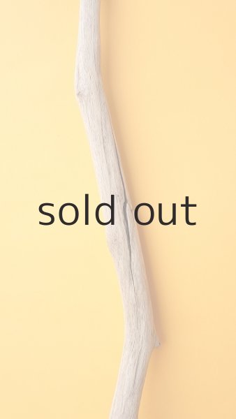 画像3: 枝流木 (3)