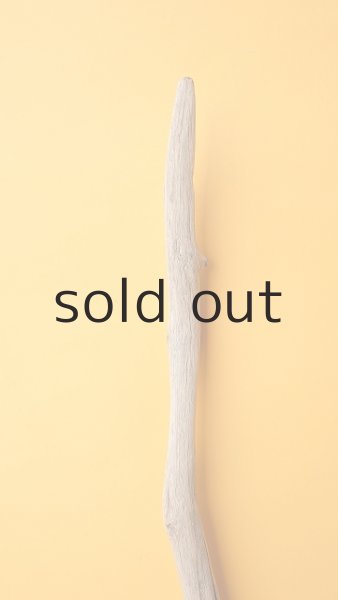 画像4: 枝流木 (4)