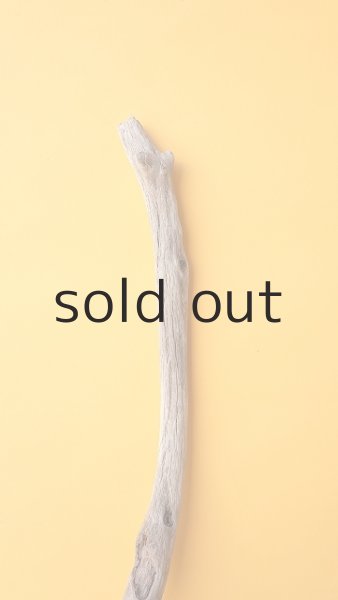 画像4: 枝流木 (4)