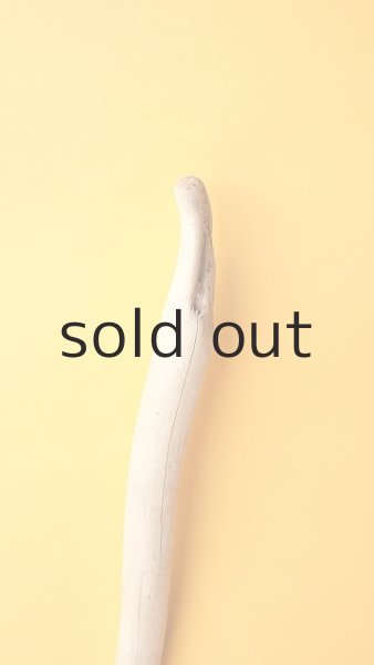 画像4: 棒流木 (4)