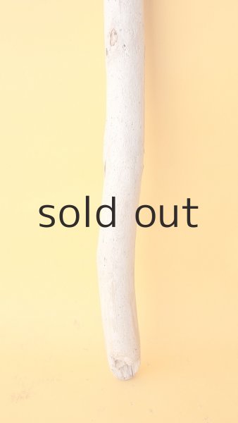 画像2: 棒流木 (2)