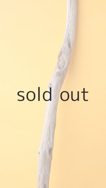 画像3: 枝流木 (3)