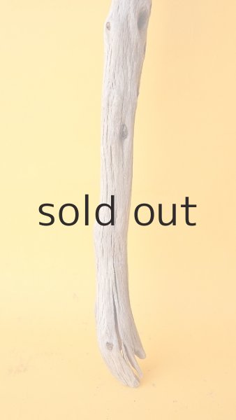 画像2: 枝流木 (2)