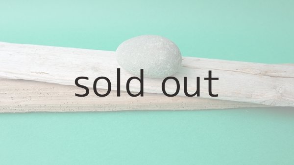 画像9: 板流木セット (9)