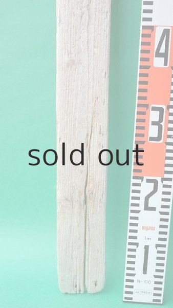 画像6: 板流木セット (6)