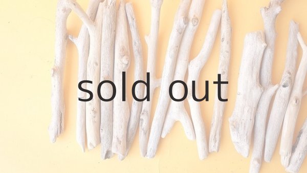 画像2: 小枝流木セット (2)