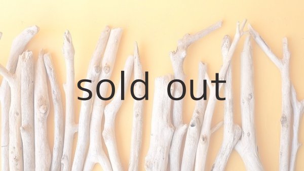 画像4: 小枝流木セット (4)