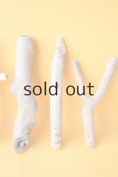 画像4: 小枝流木セット (4)