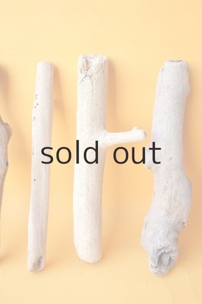 画像3: 小枝流木セット (3)