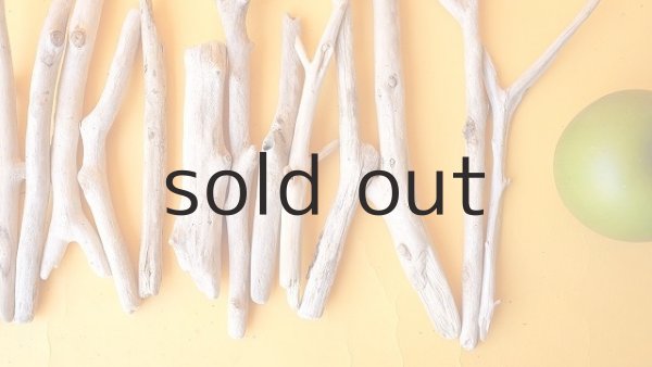 画像3: 小枝流木セット (3)