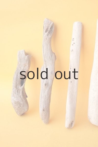 画像2: 小枝流木セット (2)