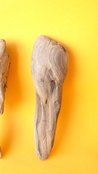 画像3: 変形流木セット (3)