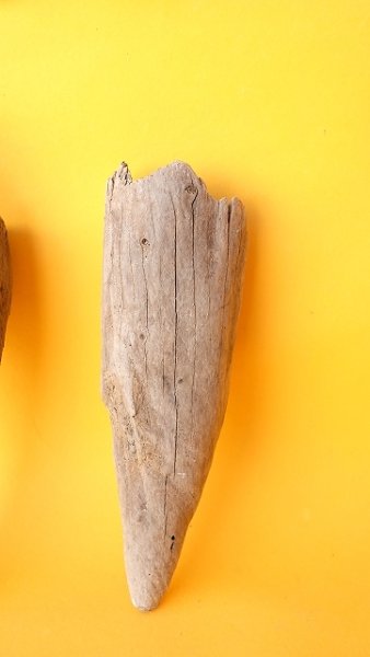 画像3: 変形流木セット (3)