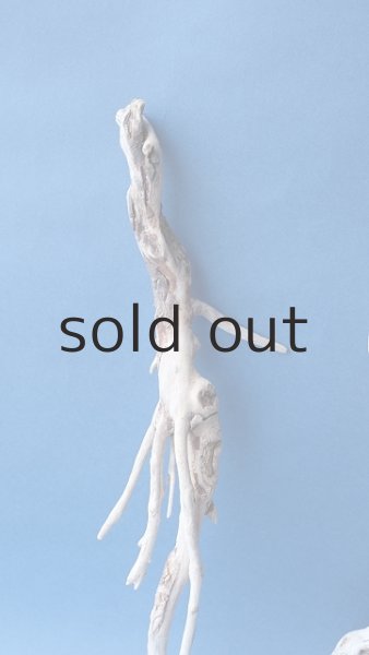 画像3: 流木根セット (3)