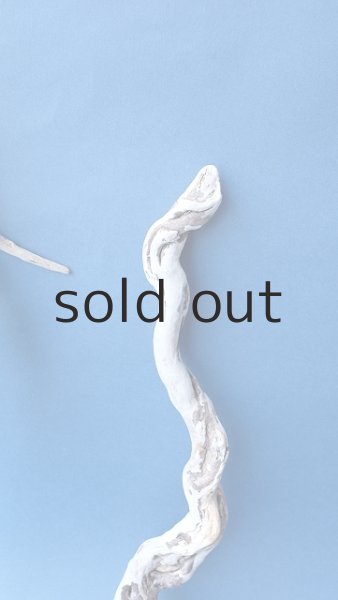 画像5: 流木根セット (5)