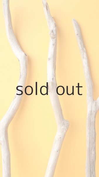 画像5: 小枝流木セット (5)