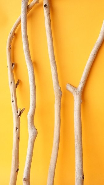 画像5: 小枝流木セット (5)