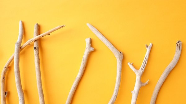 画像4: 小枝流木セット (4)