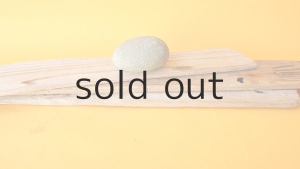 画像5: 板流木セット (5)