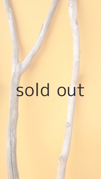 画像6: 小枝流木セット (6)