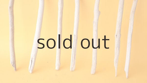 画像2: 小枝流木セット (2)