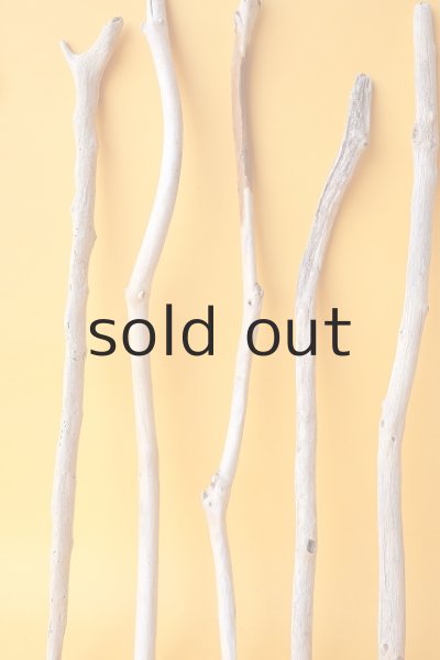 画像4: 小枝流木セット (4)