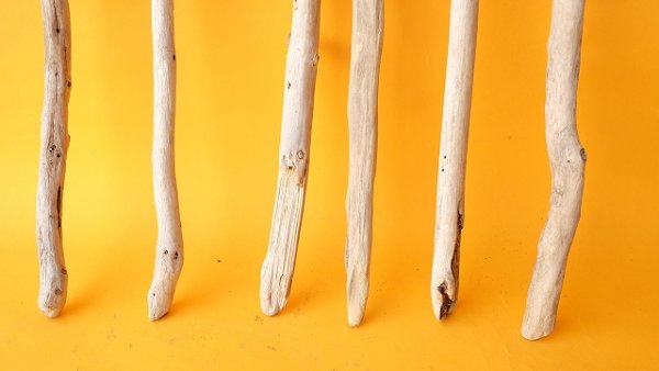 画像2: 小枝流木セット (2)