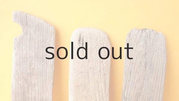 画像3: 板流木セット (3)