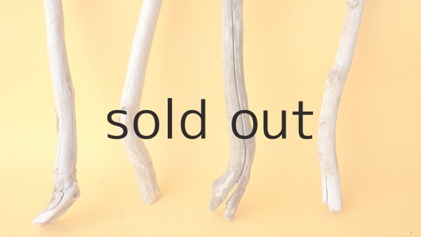 画像2: 小枝流木セット (2)