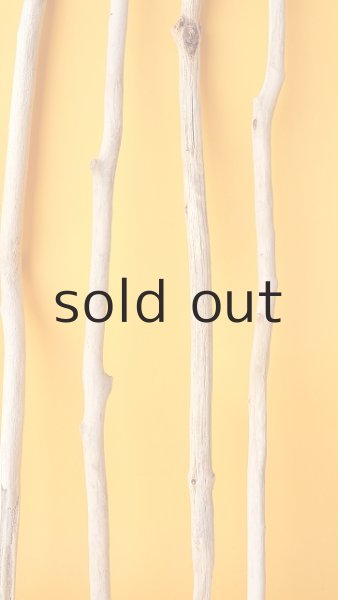 画像6: 小枝流木セット (6)