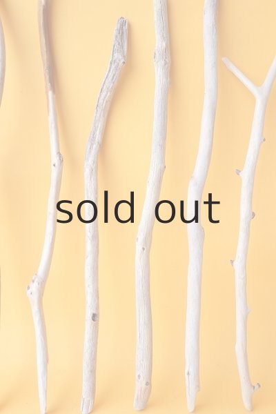 画像5: 小枝流木セット (5)