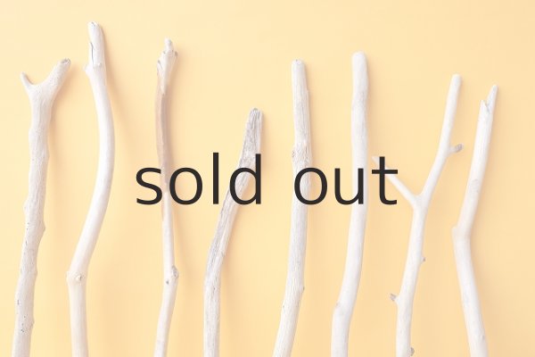 画像3: 小枝流木セット (3)