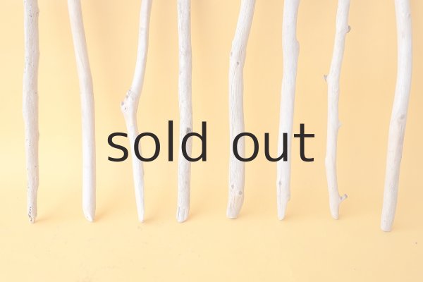 画像2: 小枝流木セット (2)