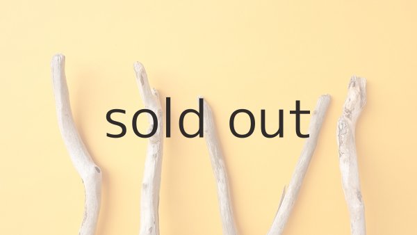 画像4: 小枝流木セット (4)