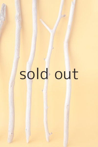 画像6: 小枝流木セット (6)