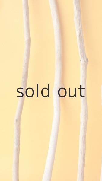 画像5: 小枝流木セット (5)