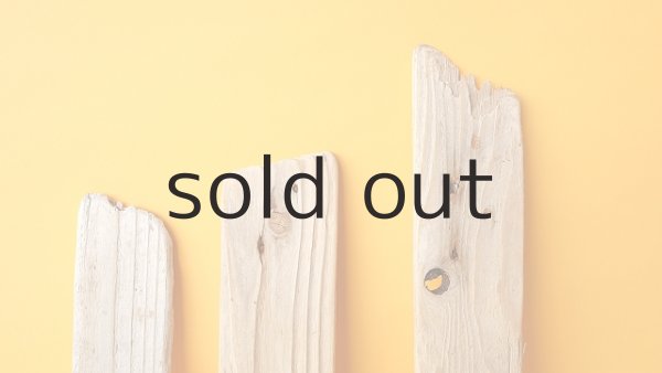 画像4: 板流木セット (4)