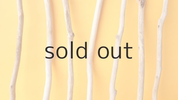 画像3: 小枝流木セット (3)