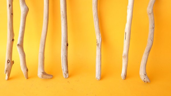 画像2: 小枝流木セット (2)