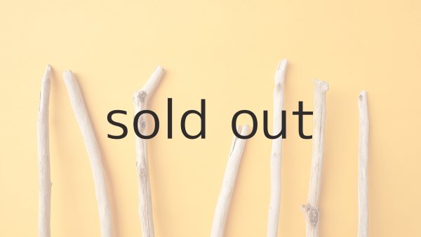 画像4: 小枝流木セット (4)