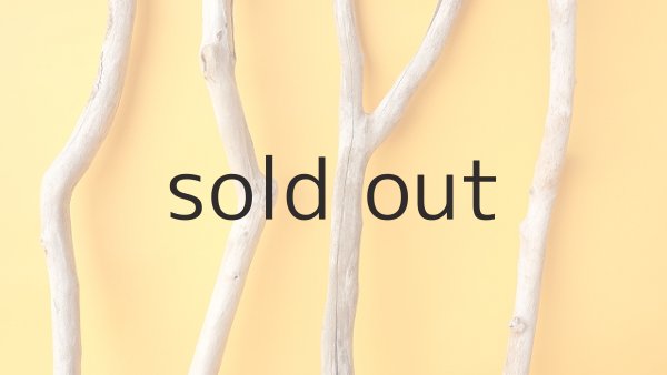 画像3: 小枝流木セット (3)