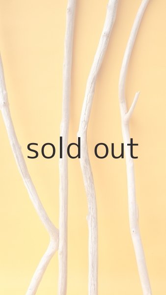 画像6: 小枝流木セット (6)