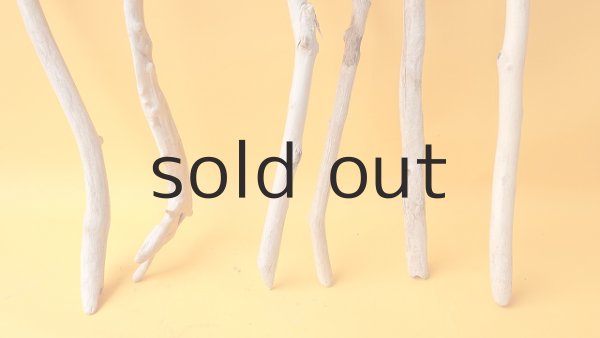 画像2: 小枝流木セット (2)