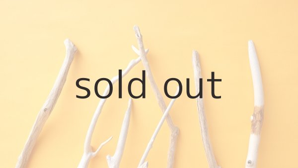 画像4: 小枝流木セット (4)