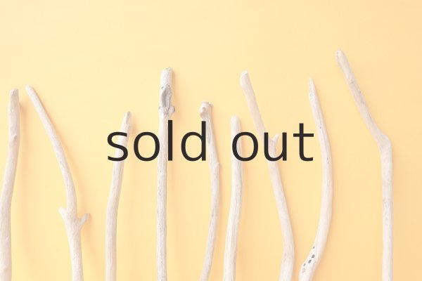 画像3: 小枝流木セット (3)