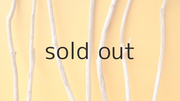 画像3: 小枝流木セット (3)