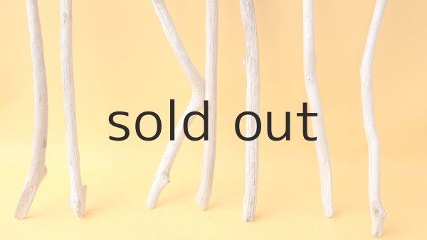 画像2: 小枝流木セット (2)