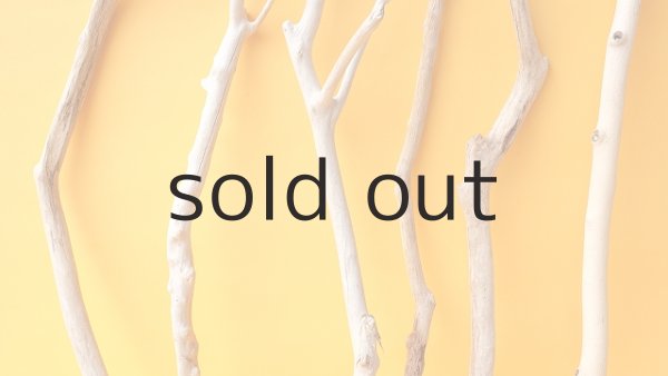 画像3: 小枝流木セット (3)