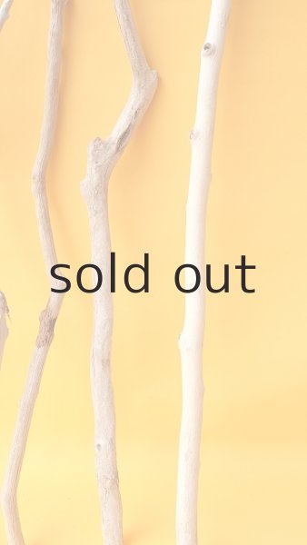 画像7: 小枝流木セット (7)