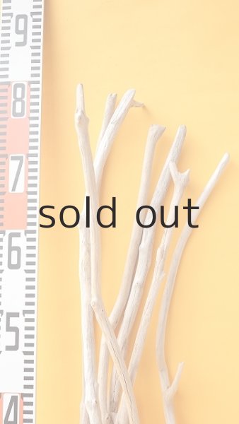 画像8: 小枝流木セット (8)